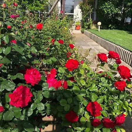 яна Будинок відпочинку