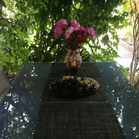 яна * Светий Влас