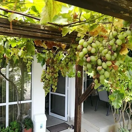 яна 別荘 スヴェティ・ヴラス