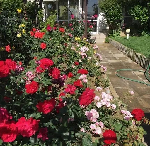 яна * Święty Włas