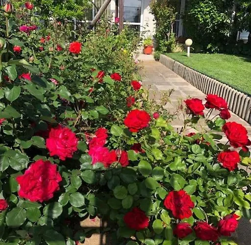 яна Dom wakacyjny